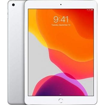  10.2-inch iPad (7th Gen) Wi-Fi + Cellular 128GB: Space Grey, Silver, Gold > Authorised Arabic Version 