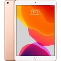  10.2-inch iPad (7th Gen) Wi-Fi + Cellular 128GB: Space Grey, Silver, Gold > Authorised Arabic Version 