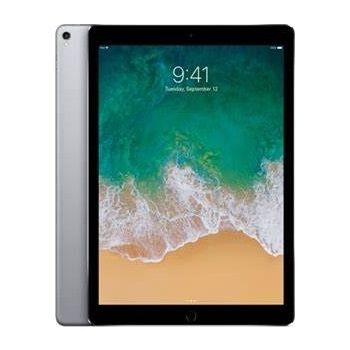  11-inch iPad Pro Wi-Fi + Cellular 256GB - Space Grey 