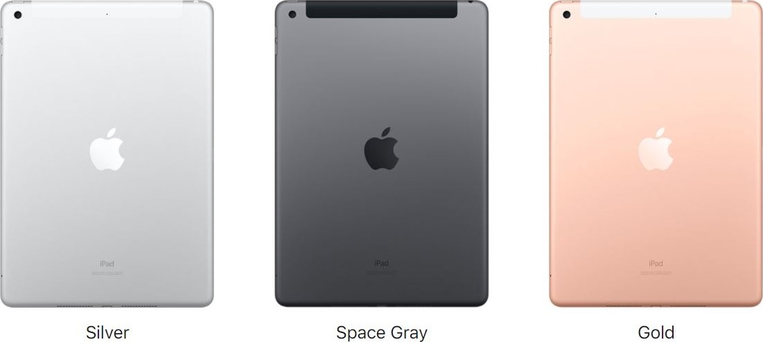10.2-inch iPad (8th generation - 2020) Wi-Fi + Cellular 128GB: Space